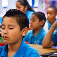 6-Hour Live Online Dynamic Mindfulness Training