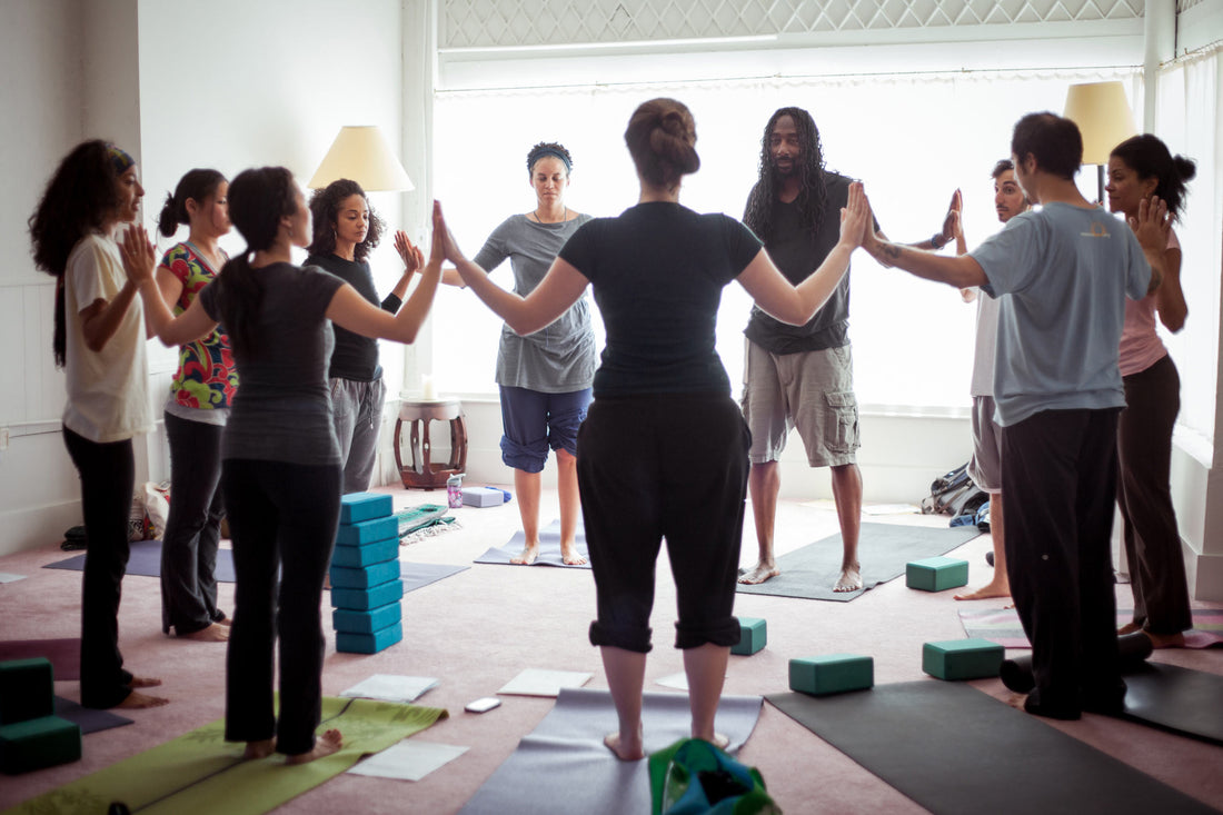 2-Day Live Online Dynamic Mindfulness Training