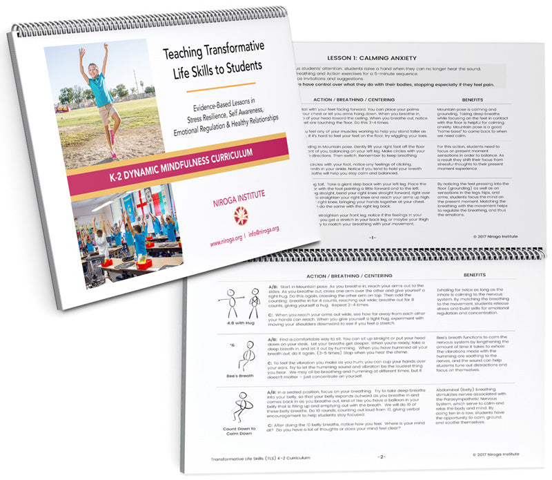 K-2 Curriculum for Younger Children